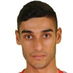 H. Avagyan