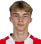 K. Potulski