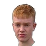 B. Þorsteinsson