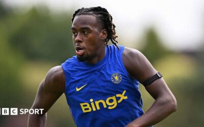 Gittens vil imponere Chelseas nye manager Alonso
